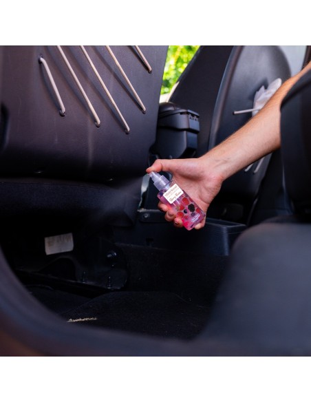 MistyScent Spray - Profumatore per auto 100ml | 6 Fragranze Esclusive