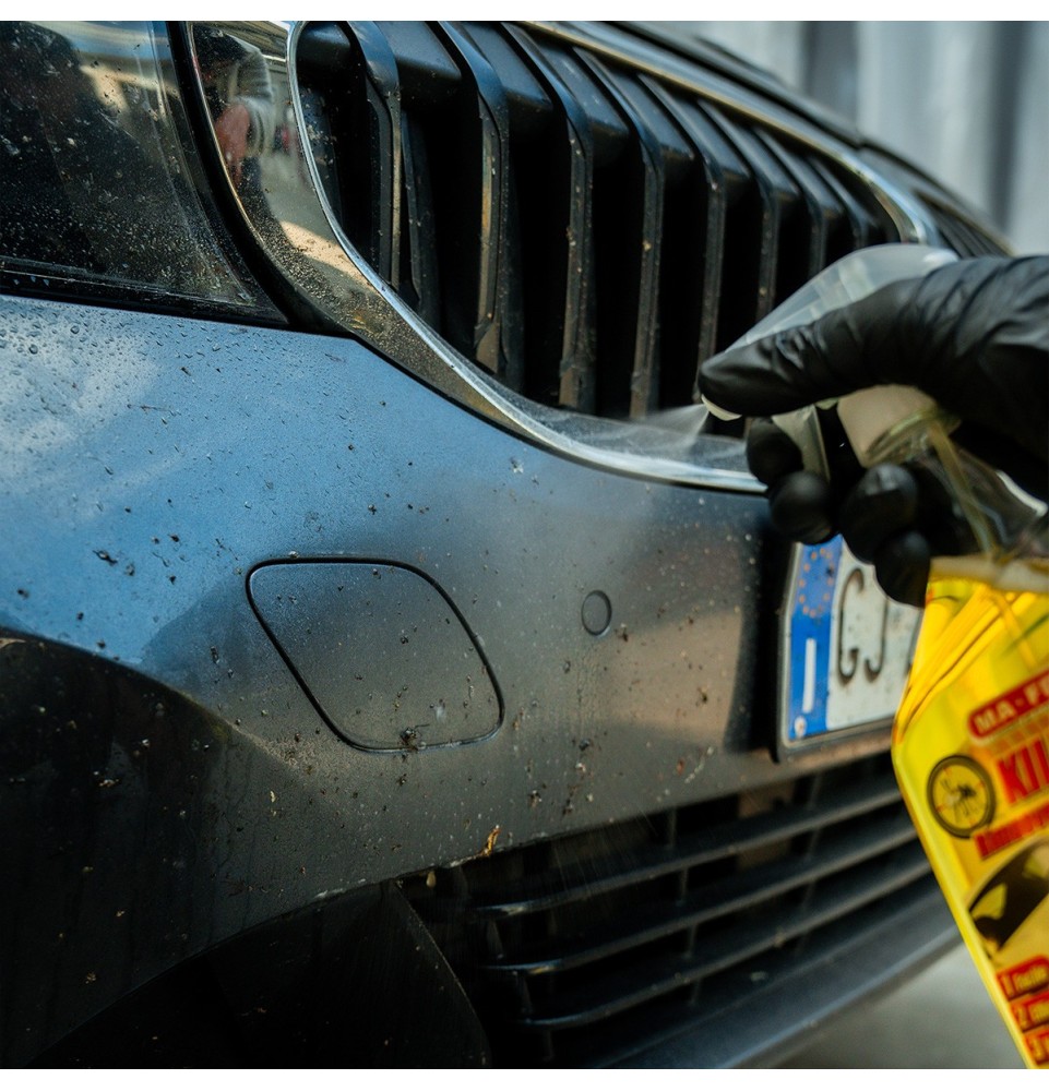 Killer rimuovere insetti dalla carrozzeria auto