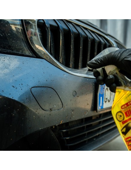 Killer rimuovere insetti dalla carrozzeria auto