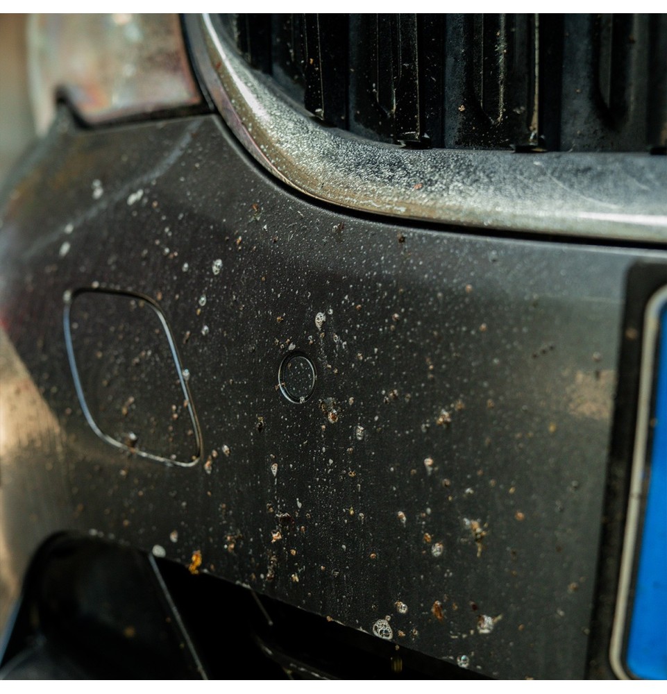 Killer rimuovere insetti dalla carrozzeria auto