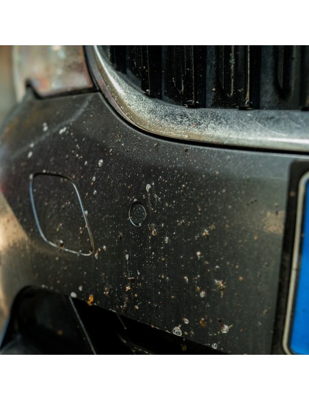 Killer rimuovere insetti dalla carrozzeria auto