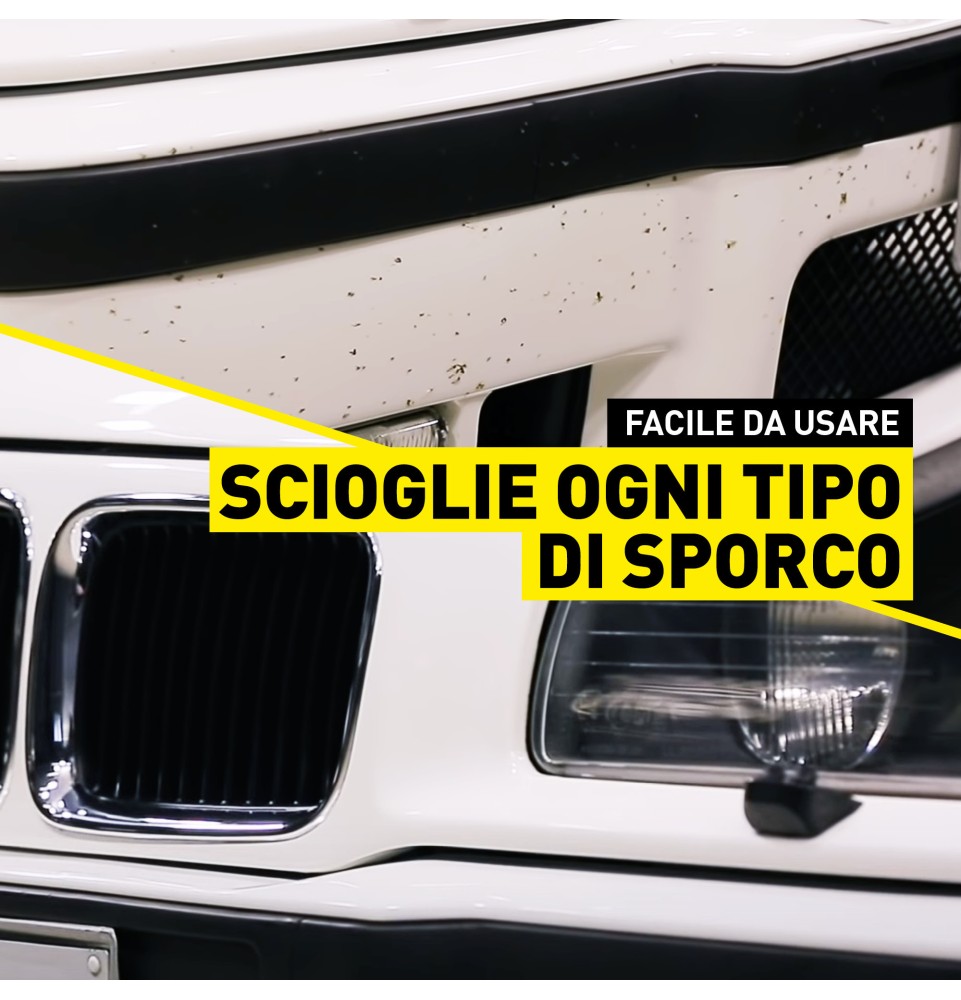 Killer rimuovere insetti dalla carrozzeria auto